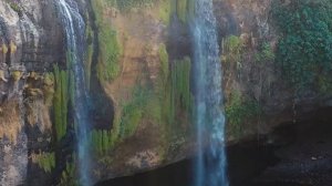 Как будет выглядеть ЗЕМЛЯ ЧЕРЕЗ 500 Лет?