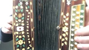 Гармонь любительская Фа диез