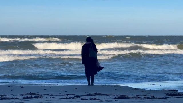 Куршская коса, февраль 2022 смотреть онлайн