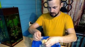 Забой перепелов, ощип, вес тушки.