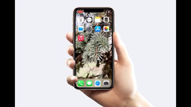 Как включить уведомления из Instagram на вашем IPhone ?