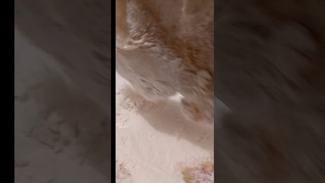 Самый лучший способ приготовить камбалу сочной и нежной.