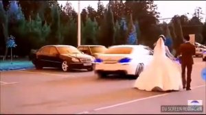 туй дар точикистон