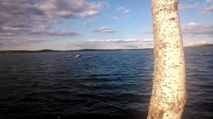 лодка пвх адмирал 320 классик на моторе сайлор 5 л.с