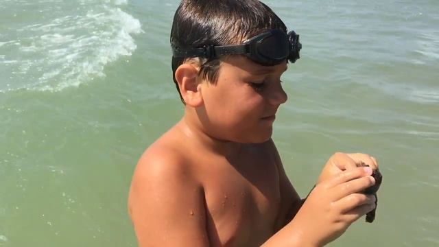 Я сам словил рапана! смотреть онлайн