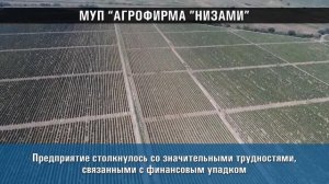Митаги