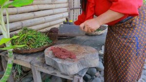 woman and dog cut water convolvulus for food- dog and animal eating delicious-cooking in forest HD