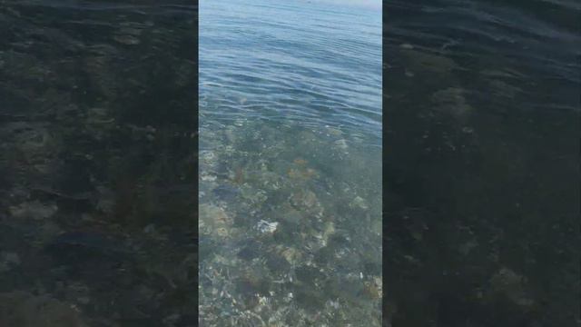 Море, солнце, горы и это Испания, что может быть лучше?1.05.23 г.