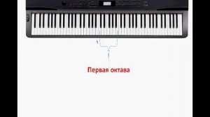 Нотная грамота для начинающих. Урок 1