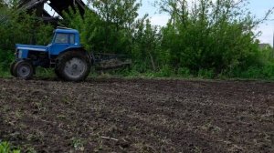 Как правильно боронить запущенное поле...