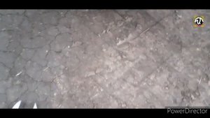 К-700а.Зябь 2021.Меняю долото на плоскорезе.Находка на поле.#алекс_юстасу #трактор #к700 #ремонт