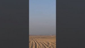 Amazing video of a hawk chasing a homing pigeon#falcons #اكسبلور #eagles #مقناص #قطر #sniper