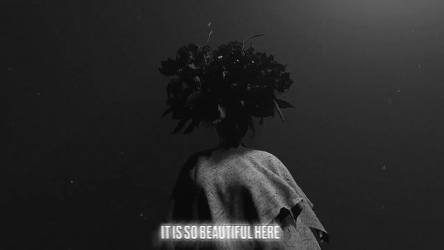 SURGEON - TRAUMA DUMP OFFICIAL LYRIC VIDEO 2023 SW EXCLUSIVE