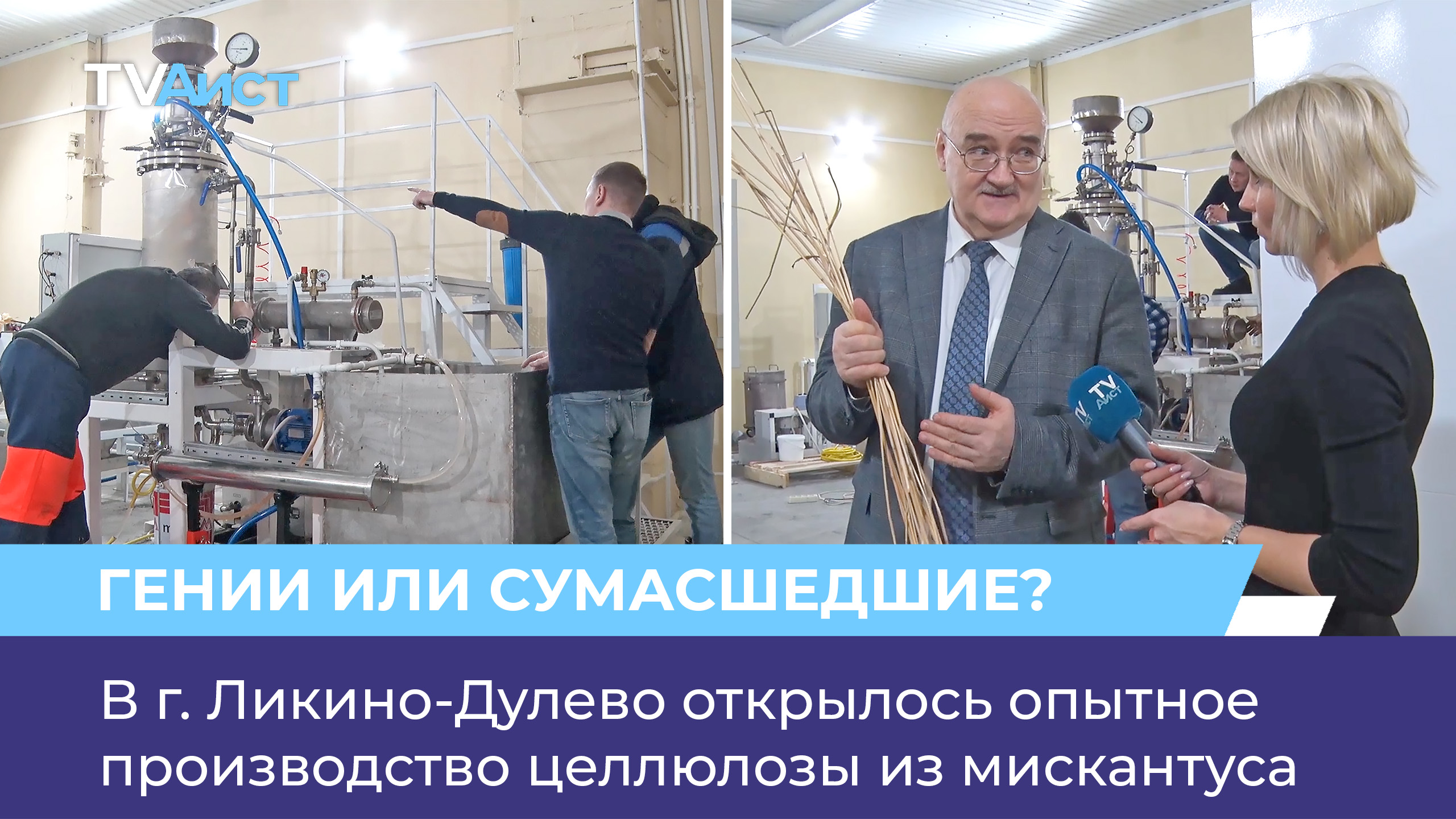 В г. Ликино-Дулево открылось опытное производство целлюлозы из мискантуса
