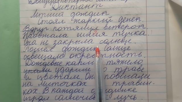 Проверяю контрольный диктант по русскому языку 4 класс