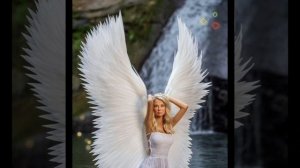 лебеди лебеди