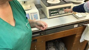 Этап нанесения облицовки при изготовлении металлокерамических и металлопластмассовых коронок