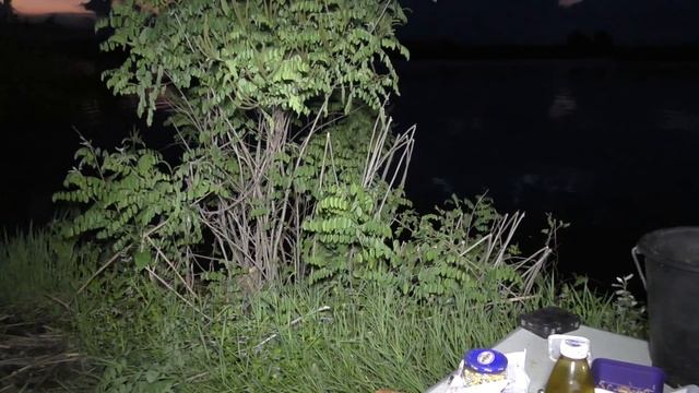 ОГРОМНАЯ красноперка .рыбалка на ЛИНЯ