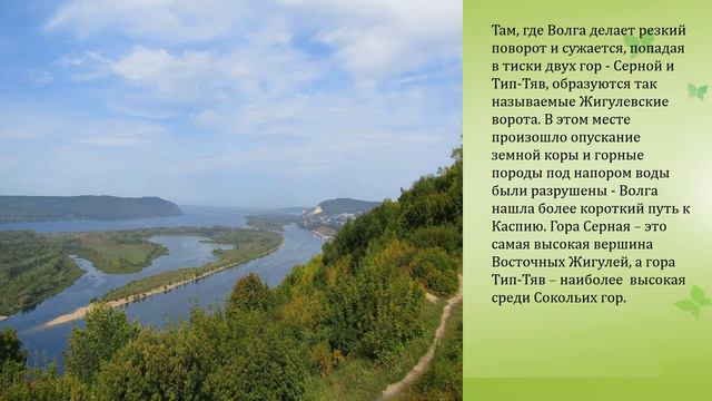 Природа Самарского края