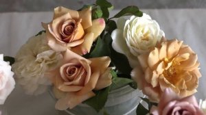 коко-локо, хоней дижон, мокароза, питомник роз полины козловой rozarium.biz ,coffee colored roses