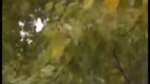 Погода на октябрь