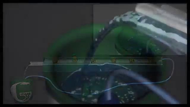 Гидропоника своими руками