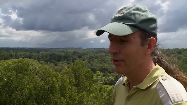 Les 3 Guyanes - De la Guyane au Surinam : voyage en océan vert (02) смотреть онлайн