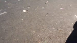 ?➊ ПОКАЗЫВАЮ РЫНОК УЖАСОВ! Самые интересные рынки мира - Вьетнам! Уличная еда на рынках Азии!