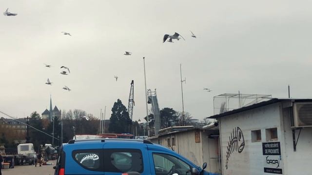 ОДИН ДЕНЬ В ЖЕНЕВЕ. ВЛОГ ШВЕЙЦАРИЯ ?? смотреть онлайн