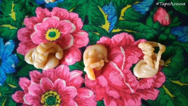 Отливка воском ♦ Родовая порча родовое проклятие ♦ Зародыш / купол / семья ♦ TaroLoginya