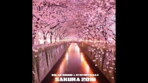 Solar Sound & Syntheticsax - Sakura 2016 (Original Mix)