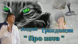 Андрей Гражданкин. - "Про кота"