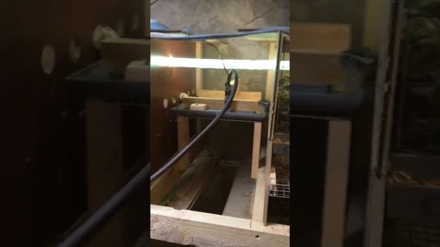 Поилка для перепелок !!! смотреть онлайн