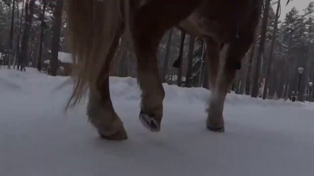 Зимний отдых на "Томской Писанице" смотреть онлайн