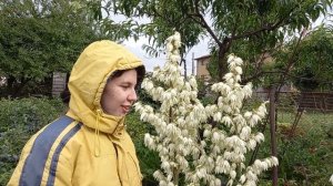 Дневник Сони (аутизм). Моя помощница. Наше общее хобби - огород.