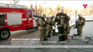 Учебная эвакуация цирка | Тюмень