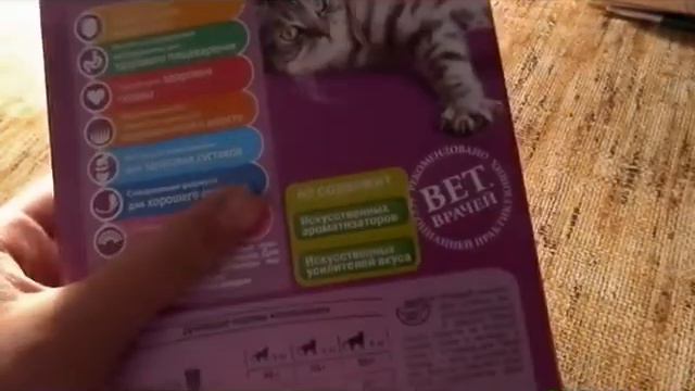 Чем я кормлю своих животных? | Кошки, собака, рыбы. смотреть онлайн