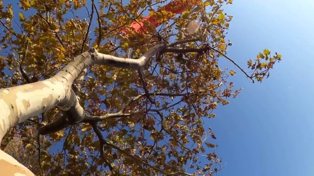 Мать бросила сына мучиться в глухой деревне, не думая что с ним случится вскоре смотреть онлайн