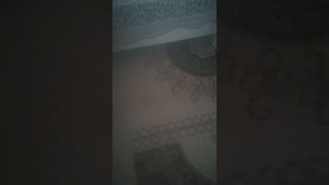 Отбасыдагы уйкыбас кыздар смотреть онлайн