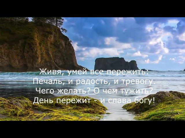 Федор Тютчев - Не рассуждай, не хлопочи! смотреть онлайн