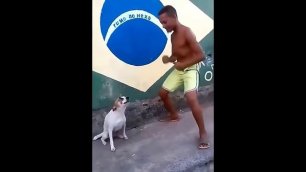 Perrito bailando canción de el niño que hace como perro