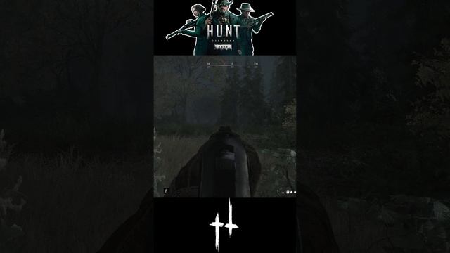 НОВАЯ ВИНТОВКА 73L ПЕХОТНАЯ ▶ Hunt: Showdown 1896