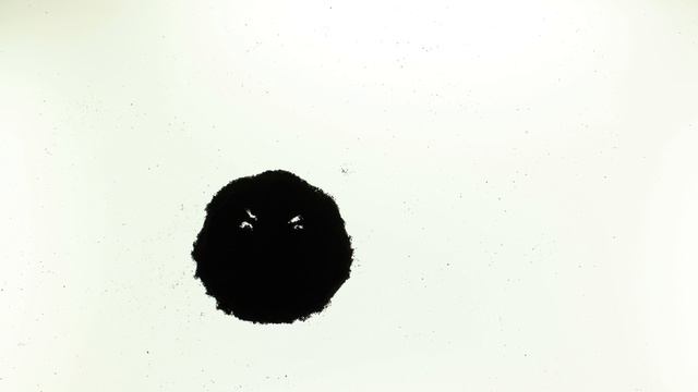 Живой кофе смотреть онлайн