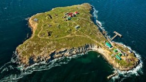 Русские оставили остров Змеиный!