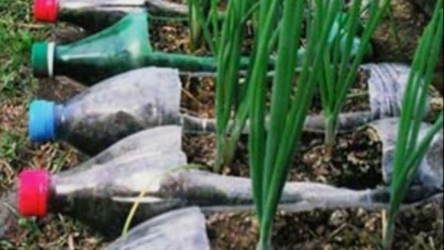 Как использовать Пластиковые Бутылки на Даче смотреть онлайн