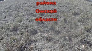 Кожан аул в Азовском немецком национальном районе Омской области_Kozhan aul in the Omsk region