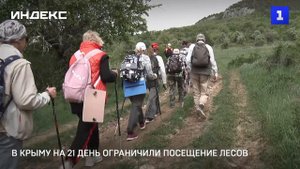 В Крыму на 21 день ограничили посещение лесов