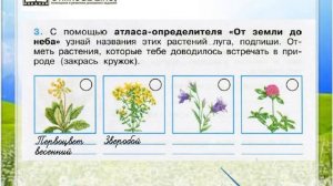 Задание 3 Жизнь луга - Окружающий мир 4 класс (Плешаков А.А.) 1 часть