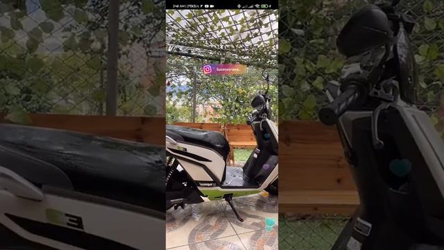 starla white t shirt tango live show 2021 смотреть онлайн