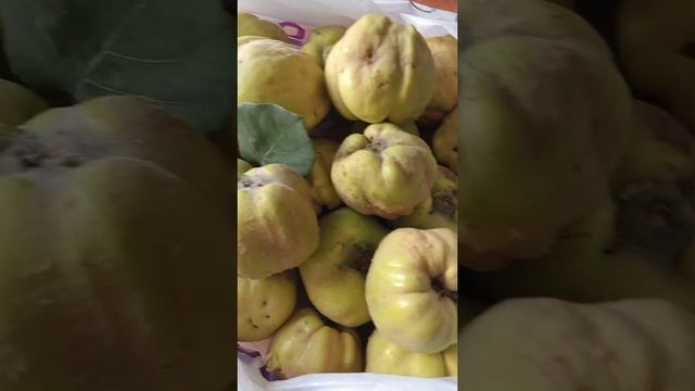 Что можно сделать с айвой???. смотреть онлайн